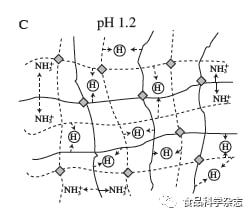 食品科學(xué) 中國(guó)農(nóng)業(yè)大學(xué)毛立科副教授等 復(fù)配海藻酸鹽凝膠作為傳遞體系的研究進(jìn)展