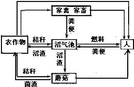 為研究影響某種植物光合速率的因素.科研人員進(jìn)行了相關(guān)實(shí)驗(yàn).請(qǐng)據(jù)圖回答 1 表為不同溫度條件下光合速率隨光照強(qiáng)度變化而變化的數(shù)據(jù)記錄表.當(dāng)溫度為20 .光照強(qiáng)度大于