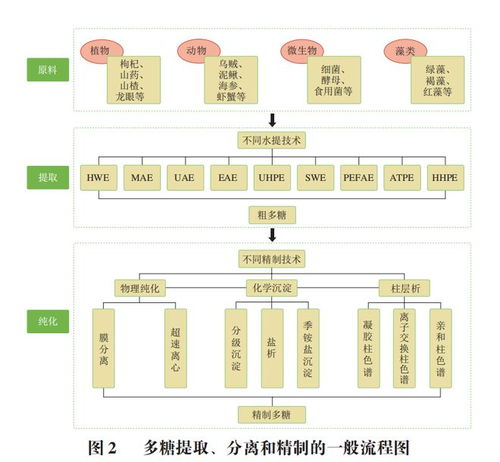 食品科學(xué) 河北農(nóng)業(yè)大學(xué)郭明珠副教授等 多糖的精制及環(huán)磷酰胺減毒增效機(jī)制研究進(jìn)展