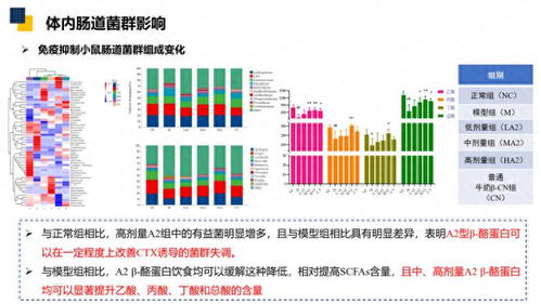 助力a2型乳制品創(chuàng)新發(fā)展,認養(yǎng)一頭牛與東北農(nóng)大推動攻克科研難題