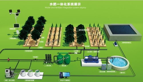 合川老農(nóng)民 我們到底需要什么樣的農(nóng)業(yè)現(xiàn)代化